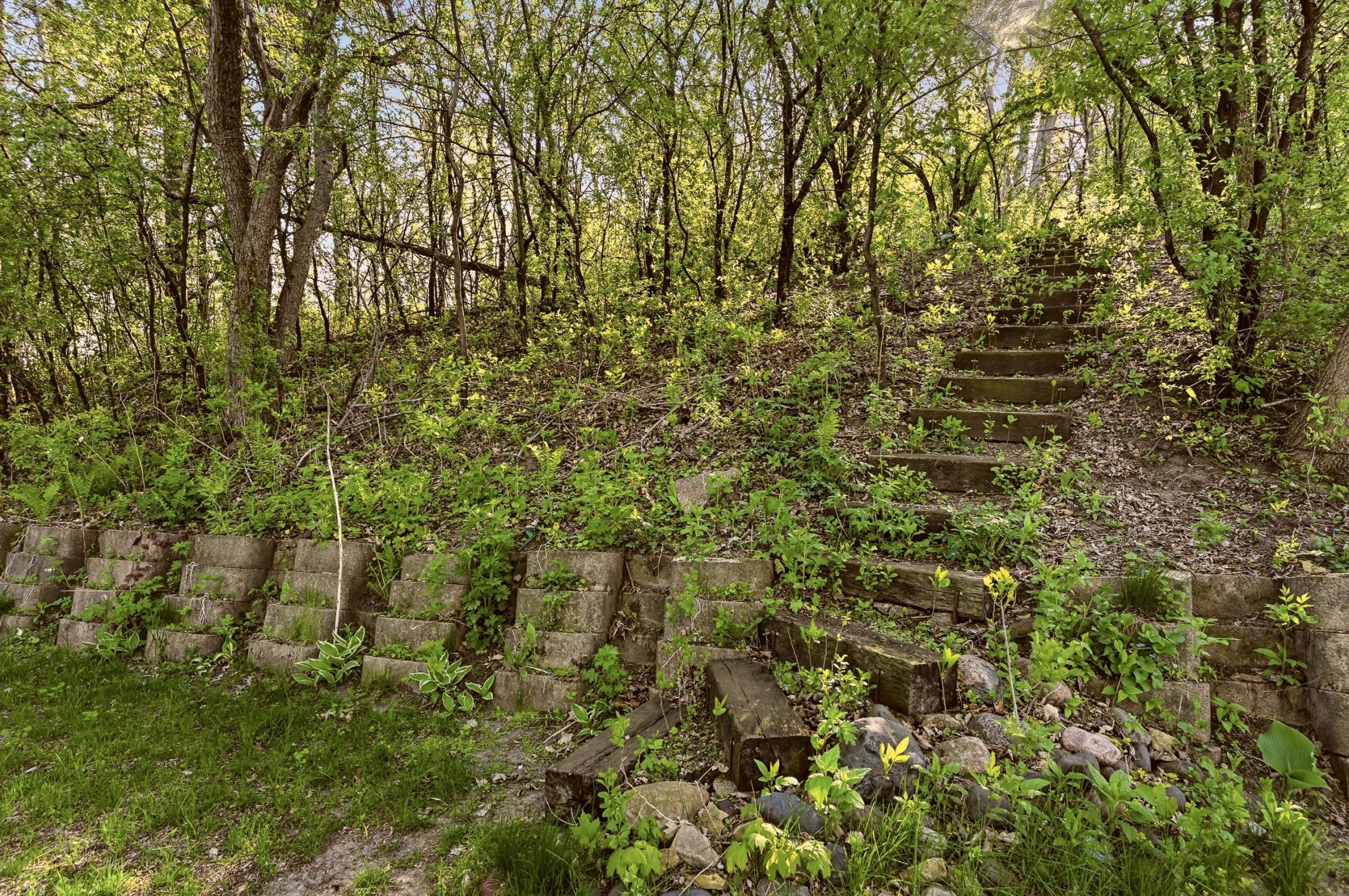 Path in woods.jpg