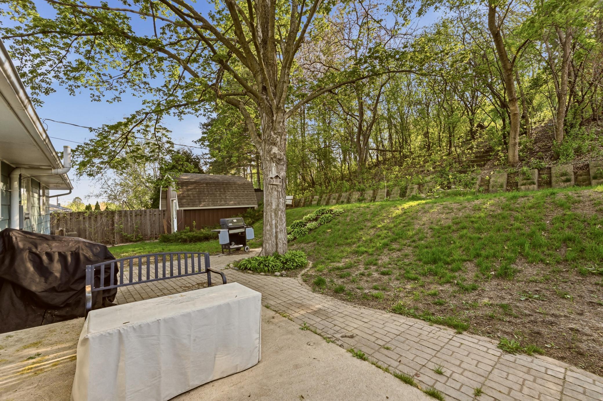 Back Yard.jpg