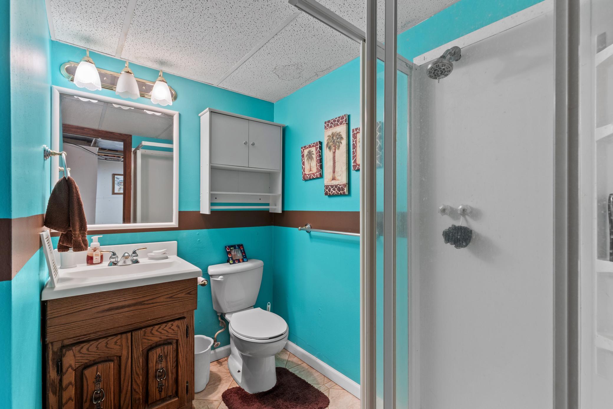 Bathroom downstairs