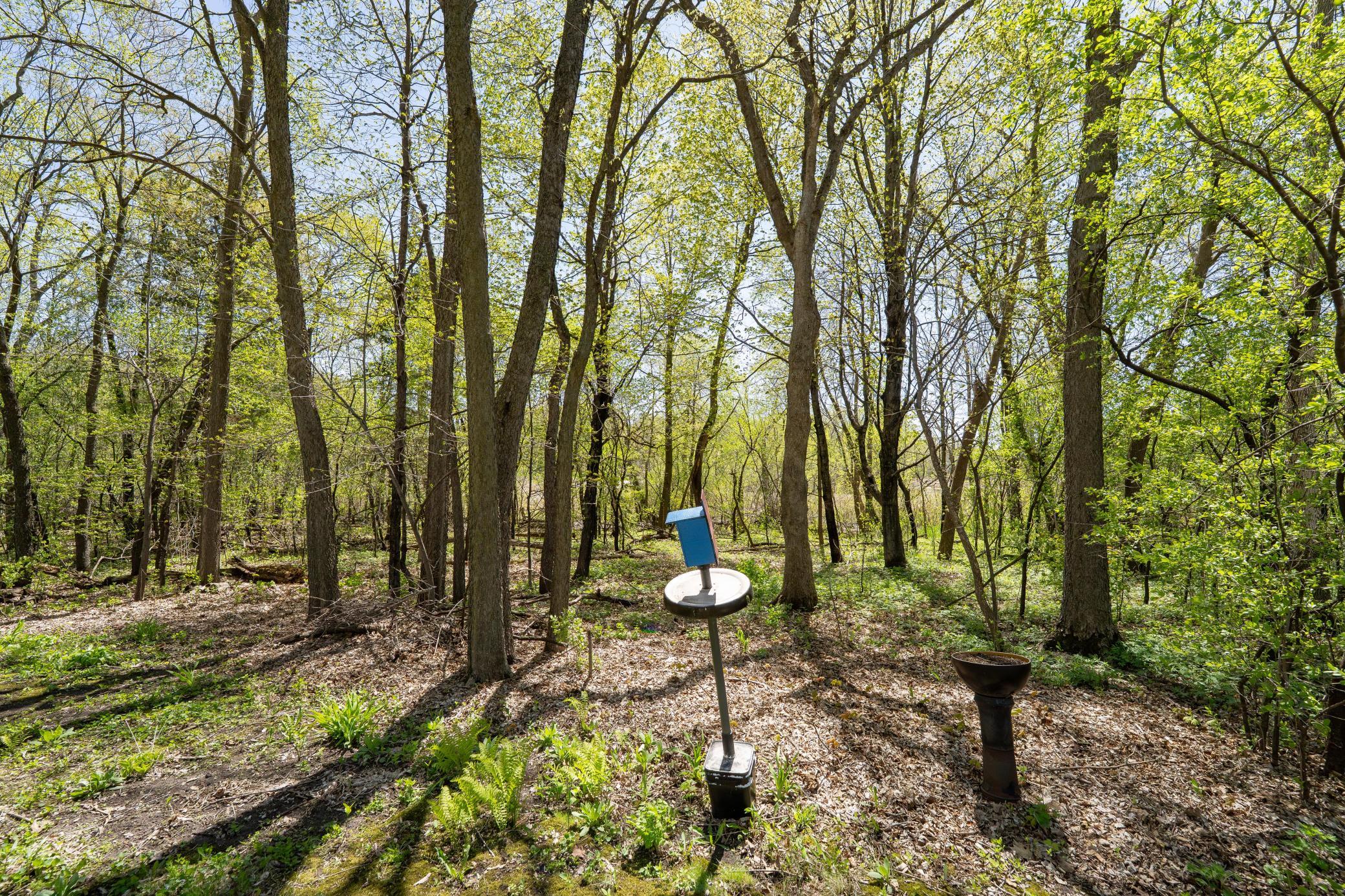 All throughout the year you will see birds, deer, rabbits and other critters in nature. There are several different bird houses and feeders that attract all types of beautiful animals