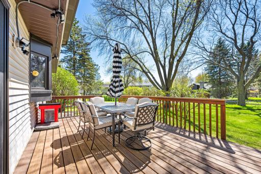 17115 28th Place N, Minneapolis, MN 55447