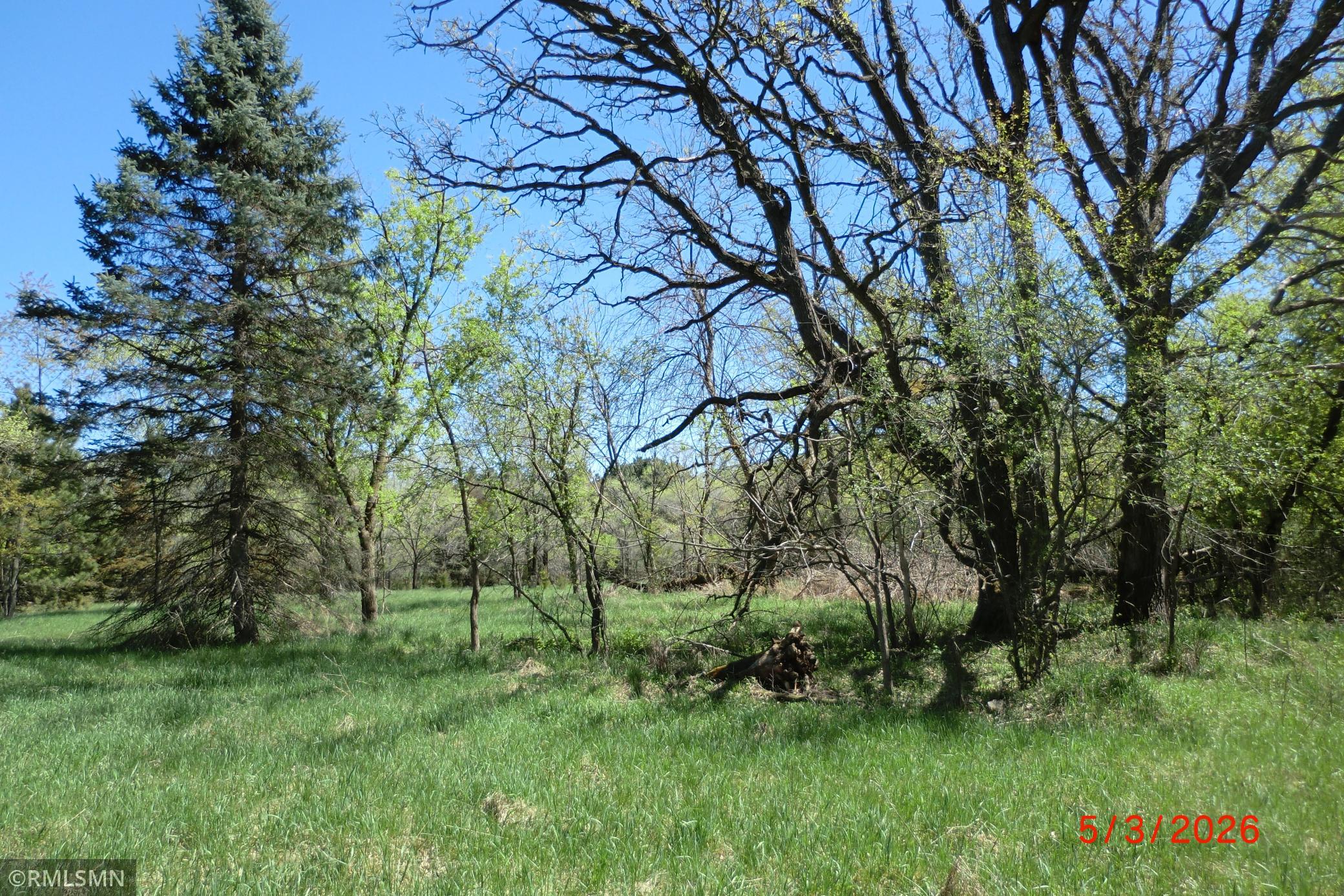 Looking to SE corner of property
