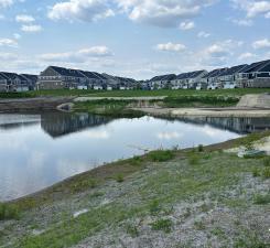 Pond in community.jpg