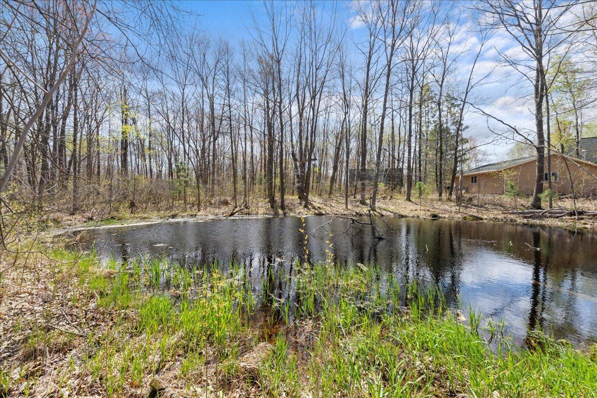 Wetlands for the full nature experience!