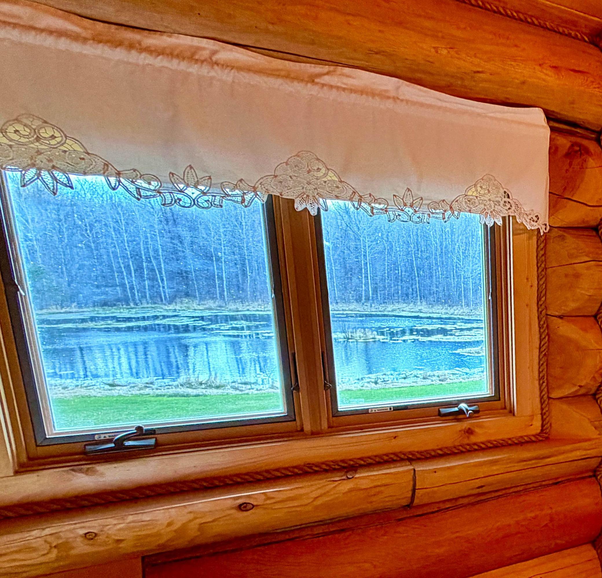 View from the upper bathroom window.jpg