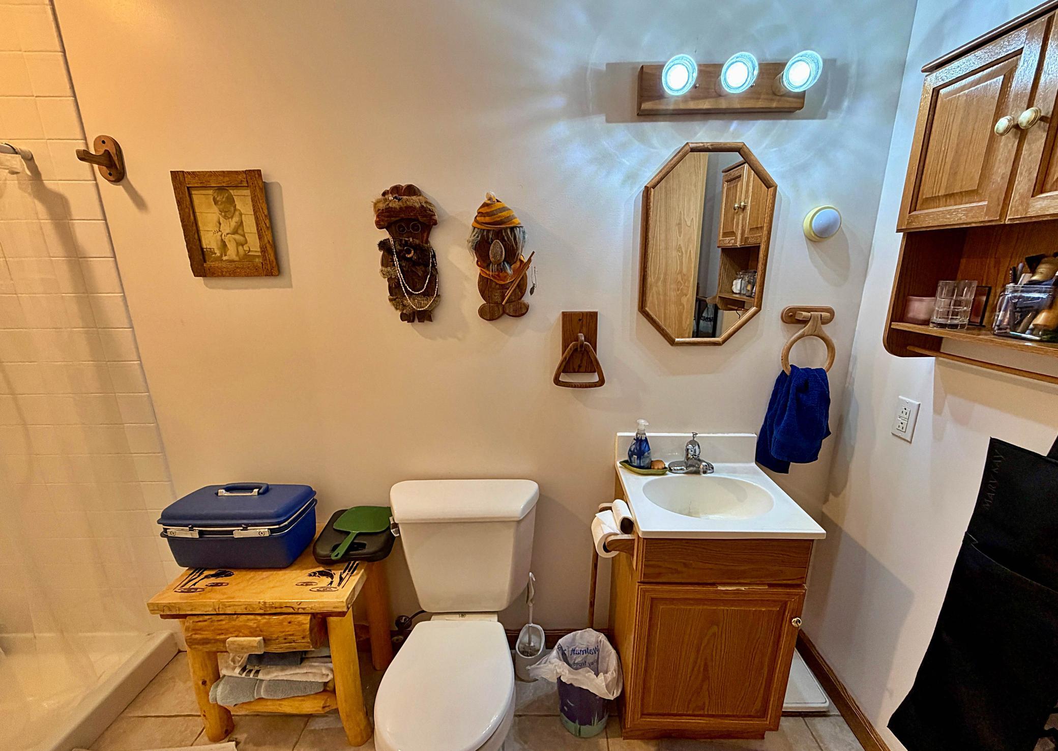 Bathroom lower level.jpg