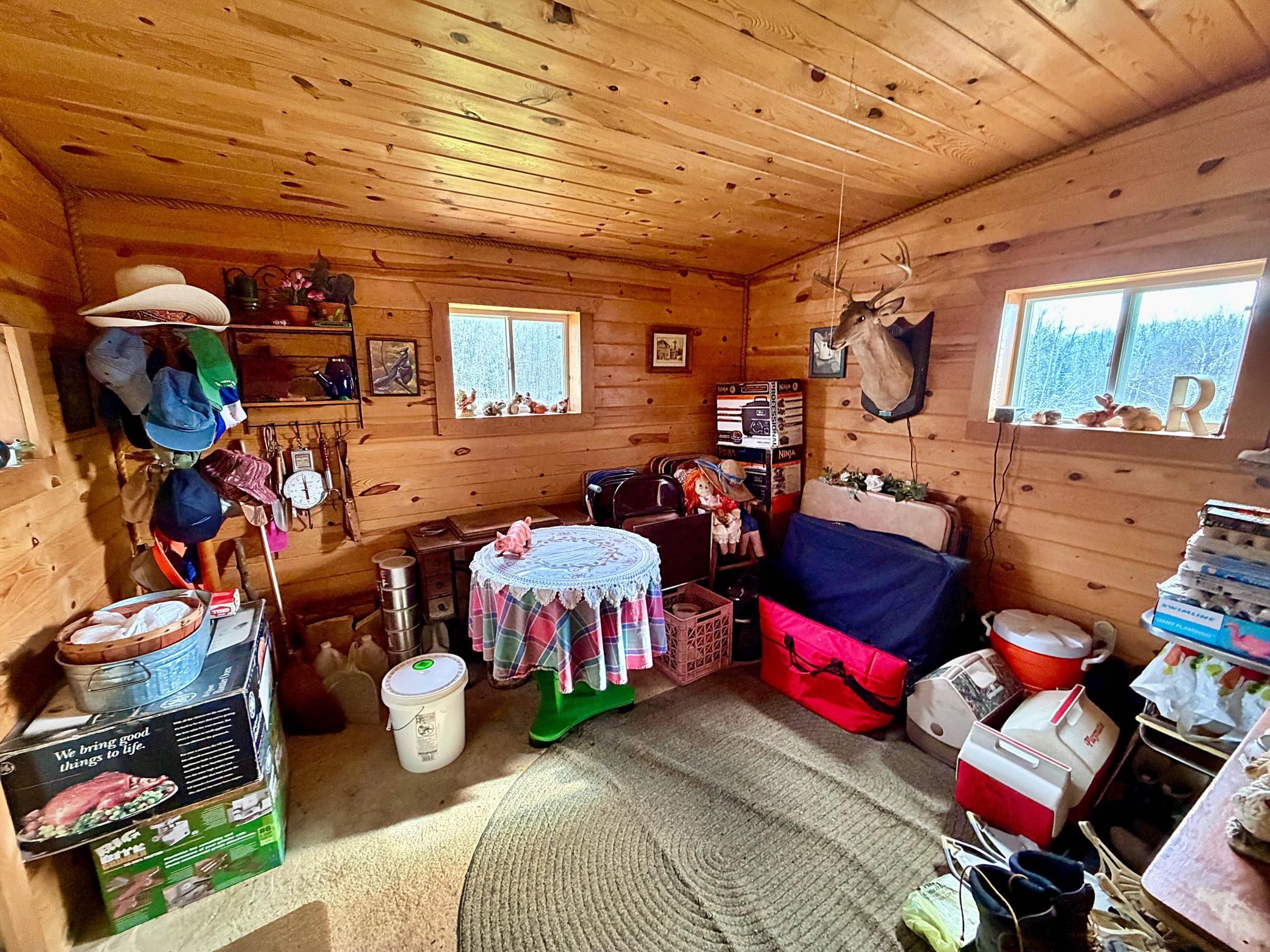 Lower Level bedroom .jpg