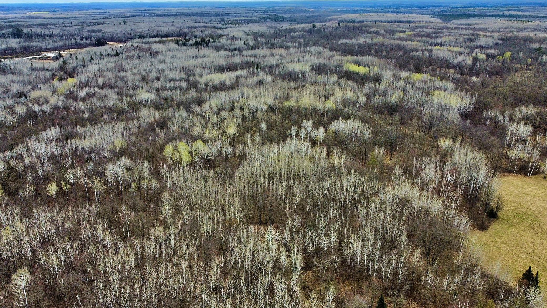 Aerial view of land.jpg