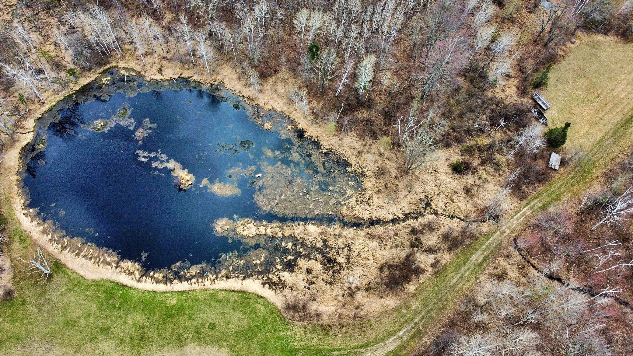 Aerial view of pond.jpg