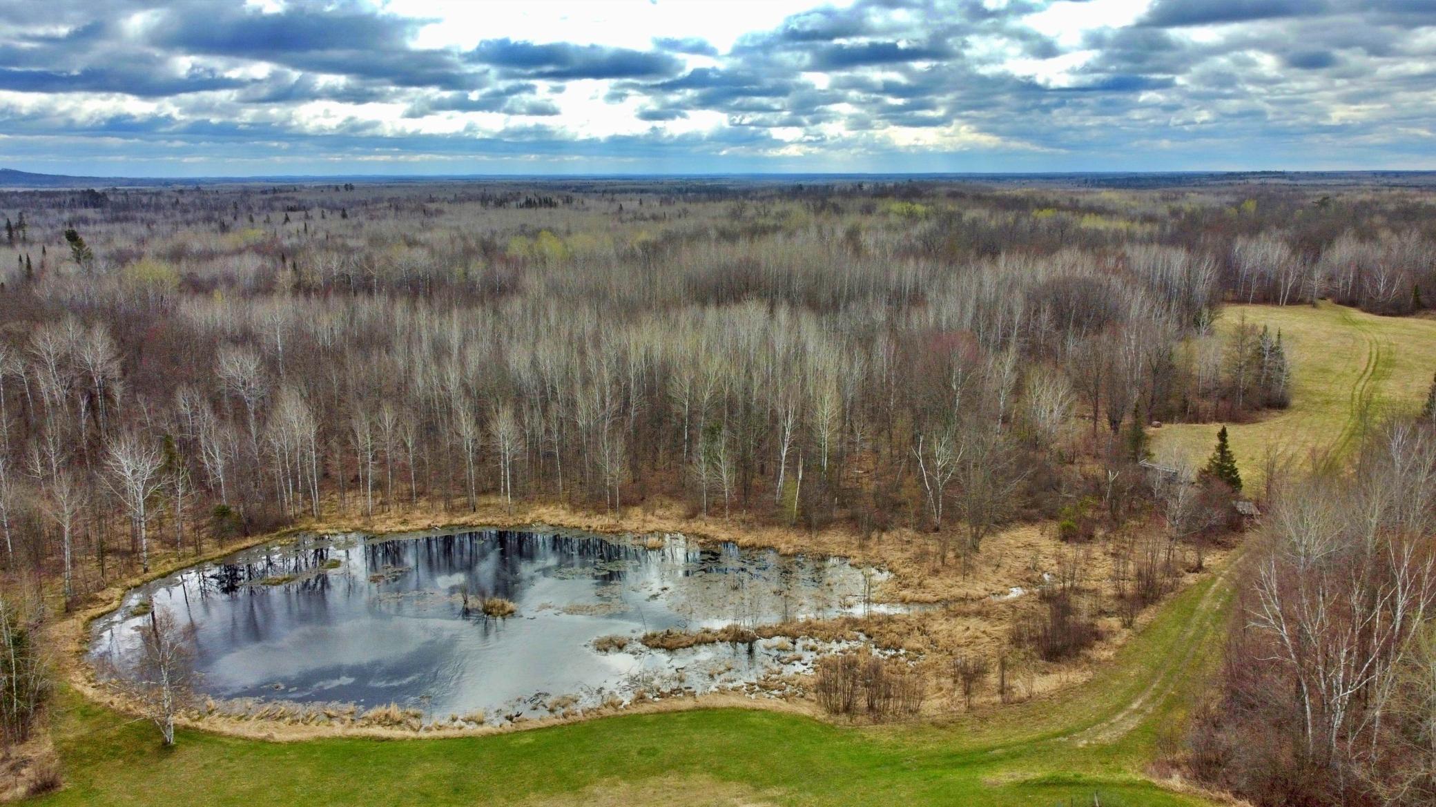 View of pond and accesss.jpg