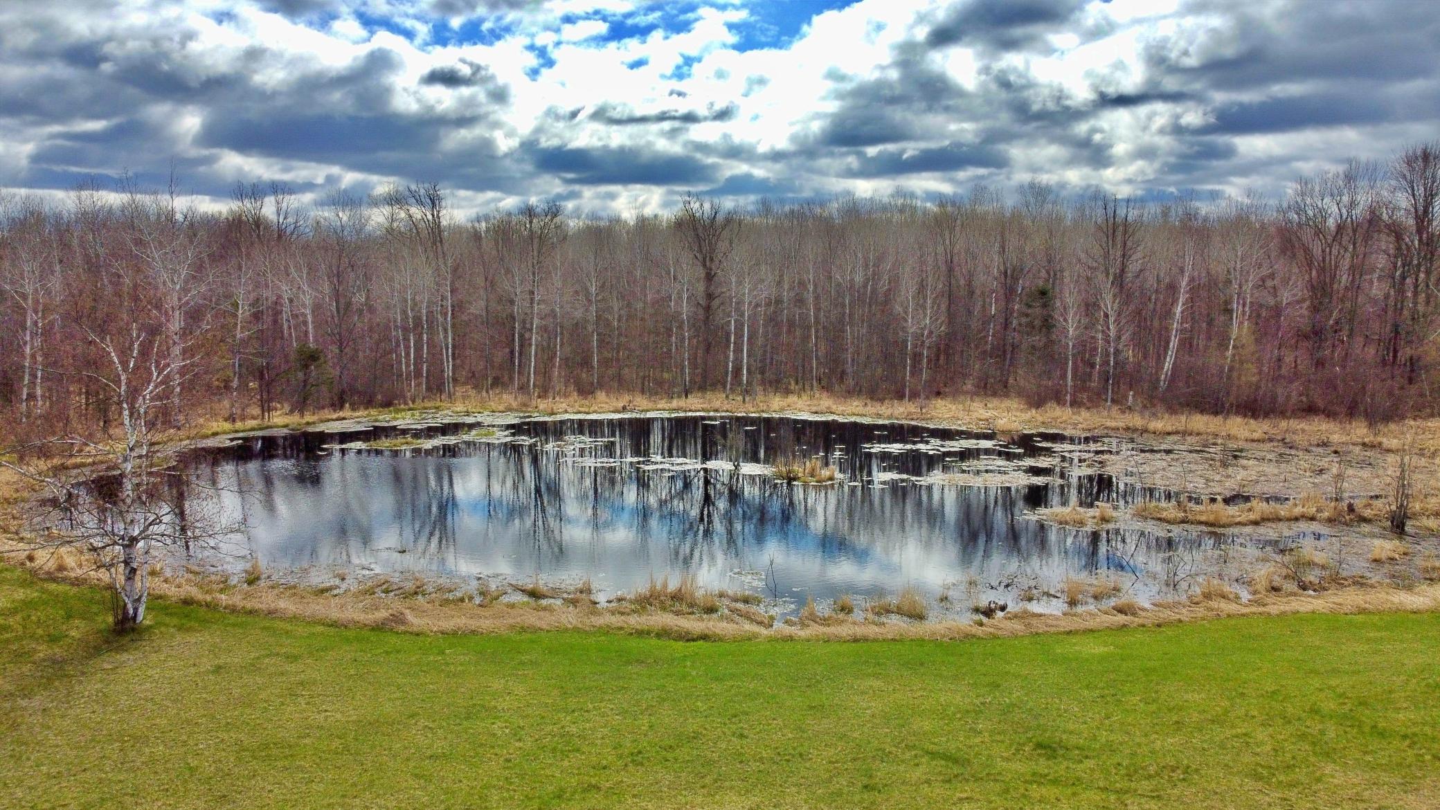 Pond view.jpg