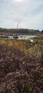 44 ac Swatara fall pic.jpg