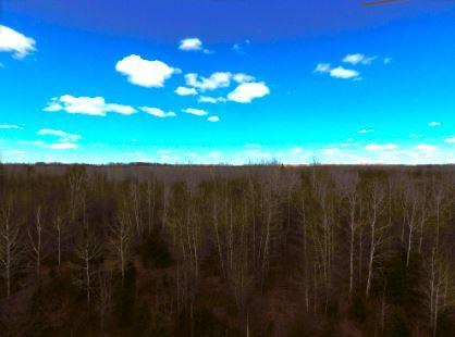 44 ac Swatara DRONE of WOODS 3.JPG