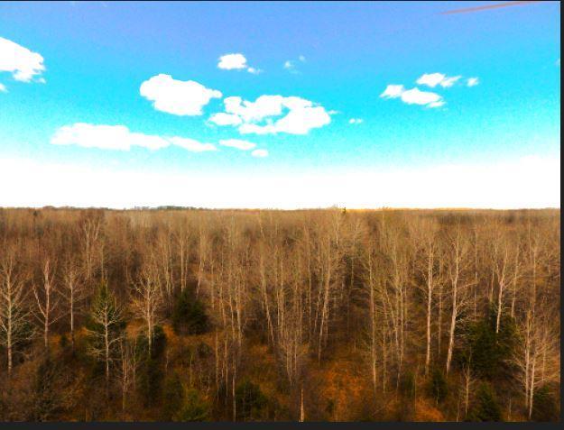 44 ac Swatara DRONE of WOODS.JPG