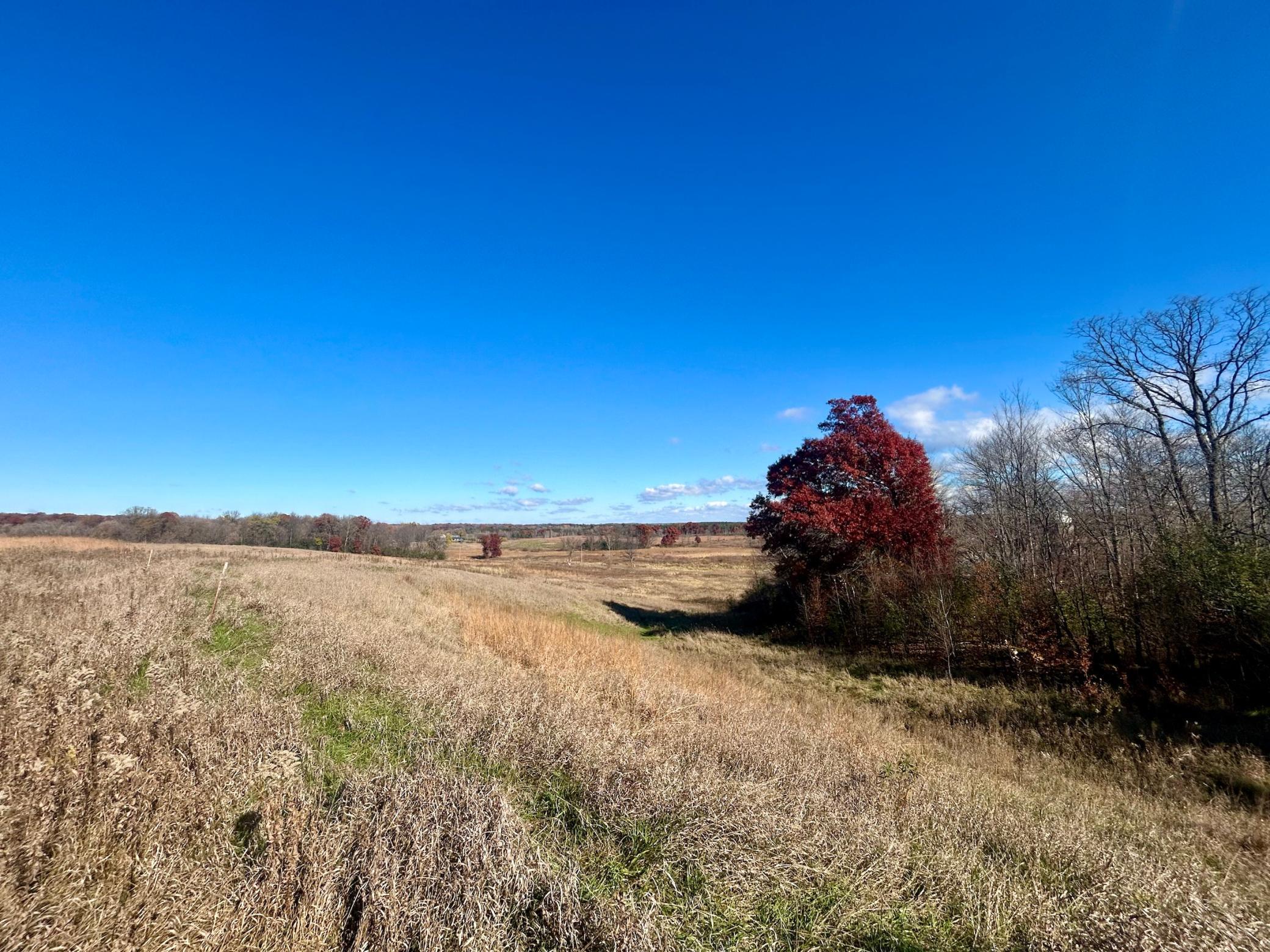 North end of property looking East