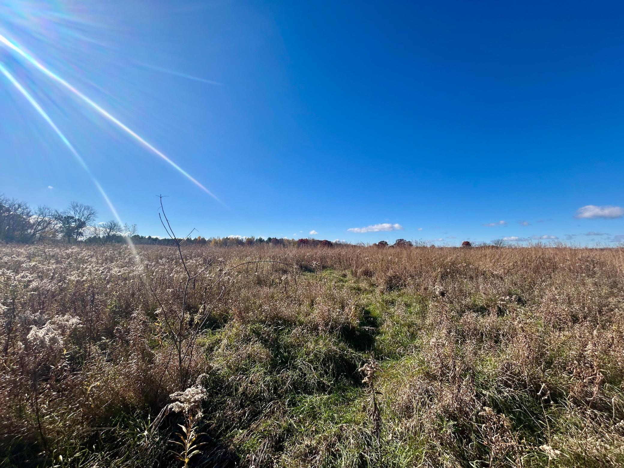 View to the East toward public land