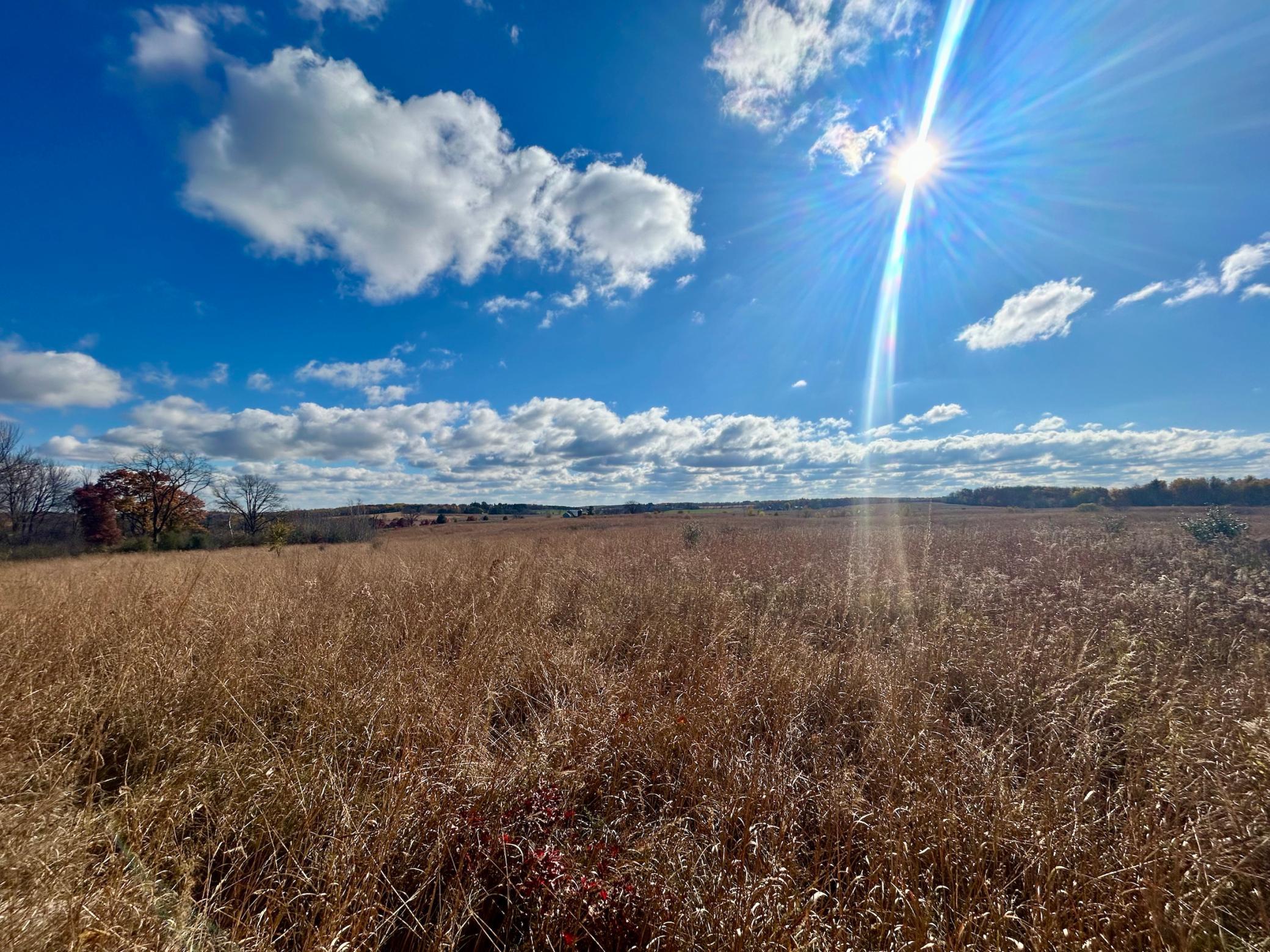 Open prairies