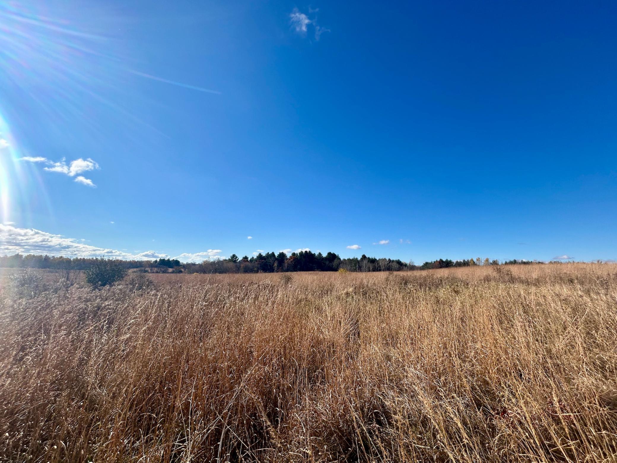 Surrounding public land
