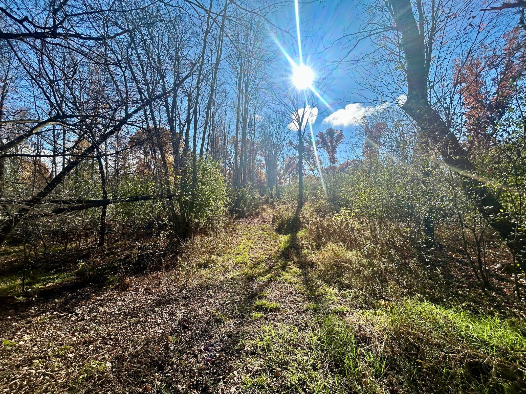 Established trails