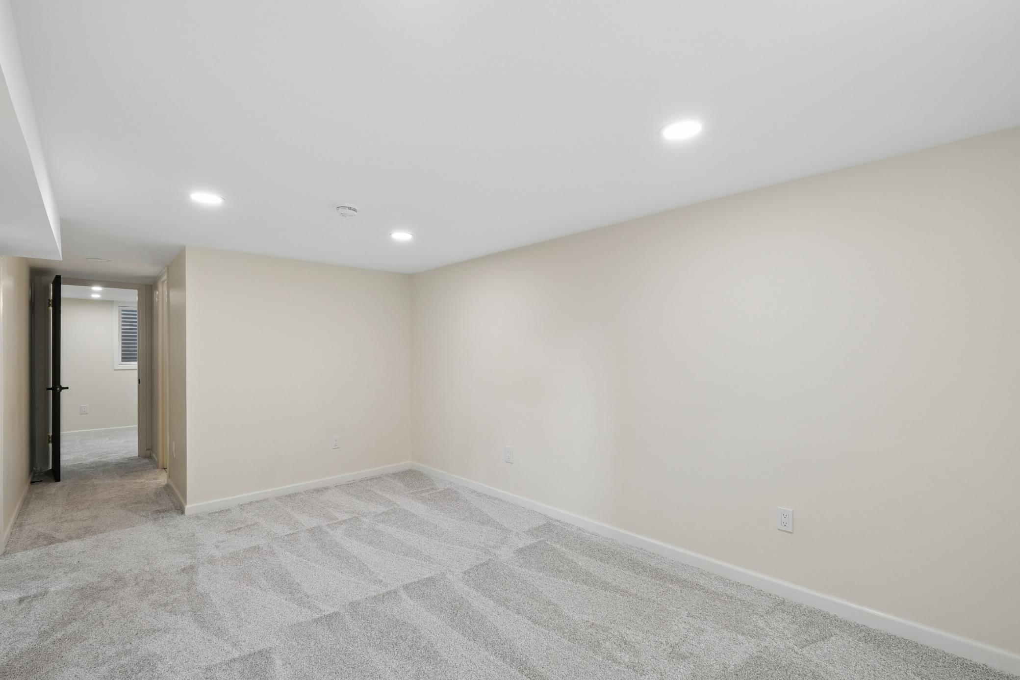 Basement Living Area