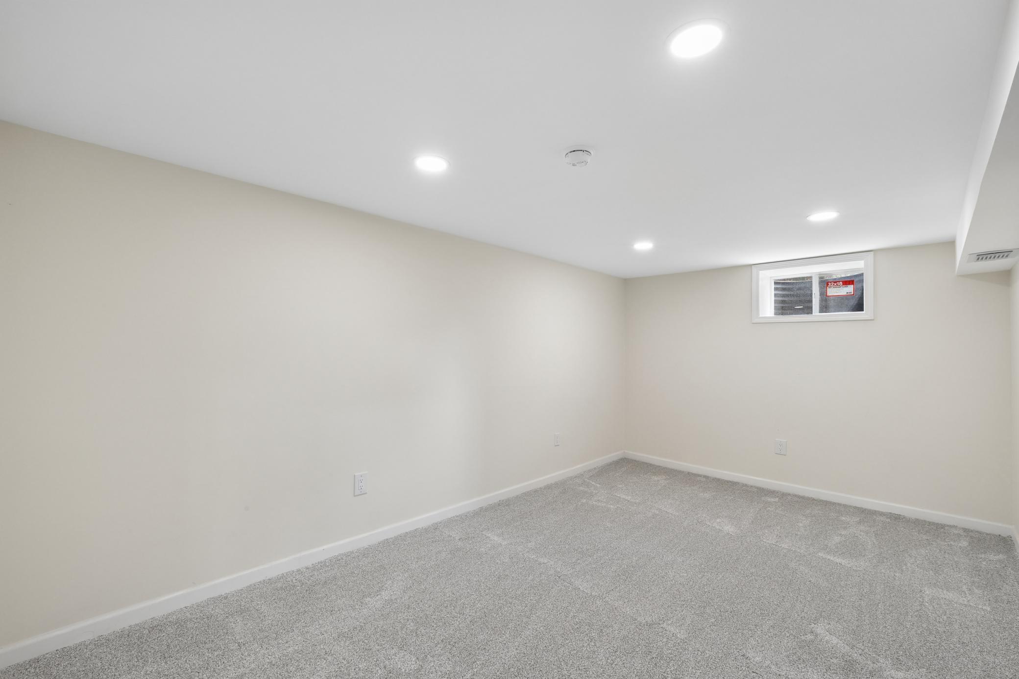 Basement Living Area