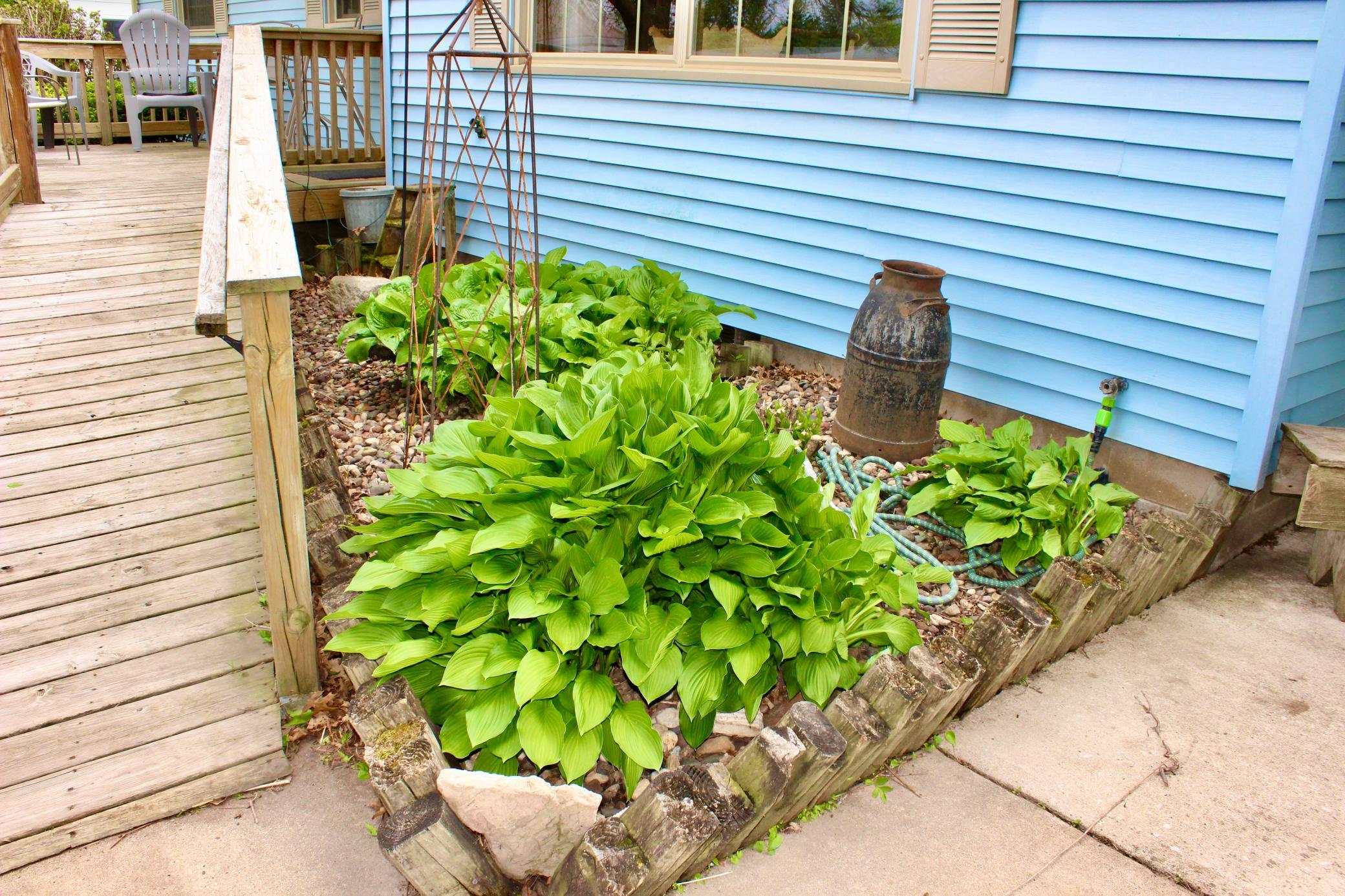 Photo 36