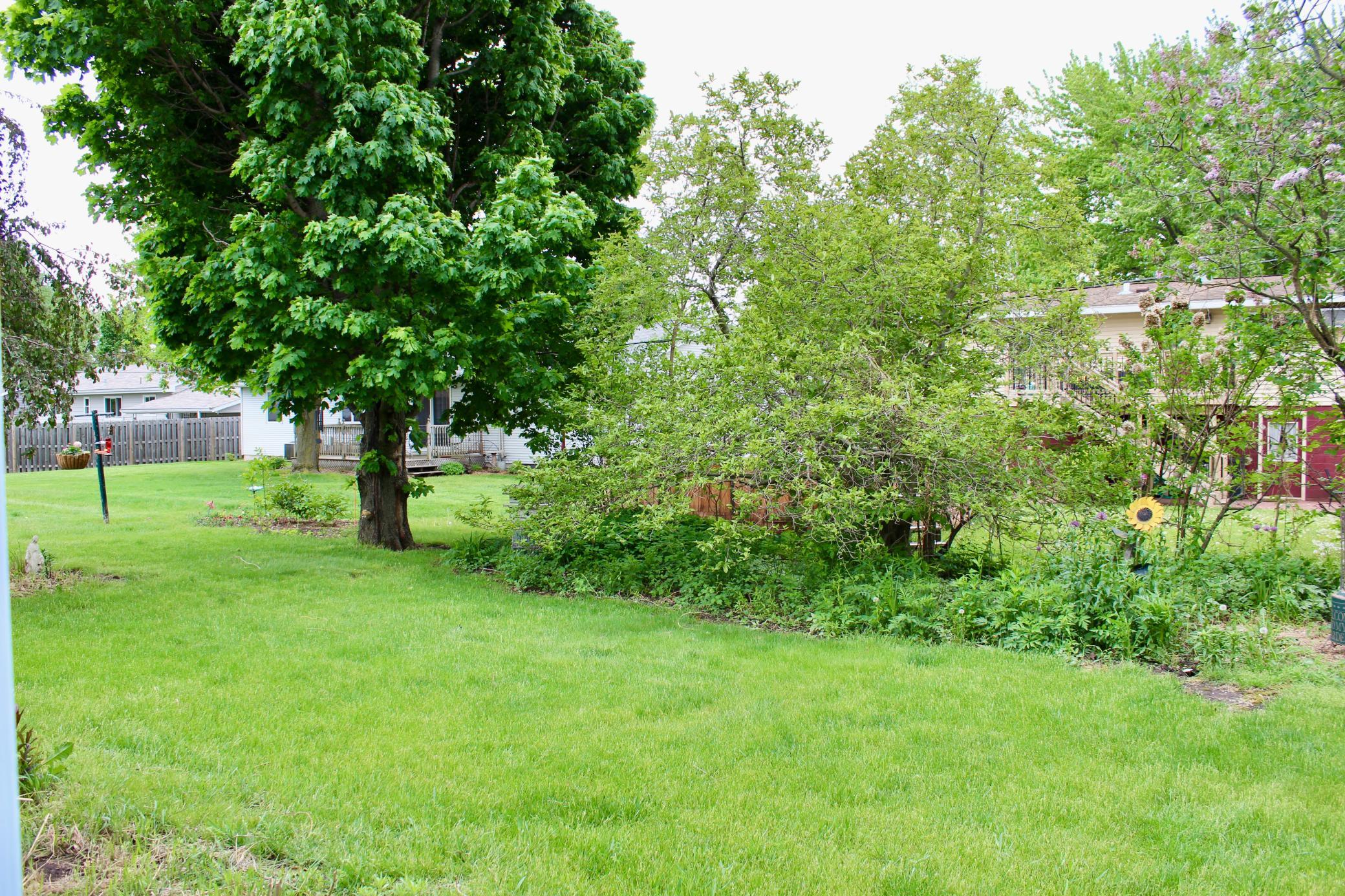 Peaceful Backyard