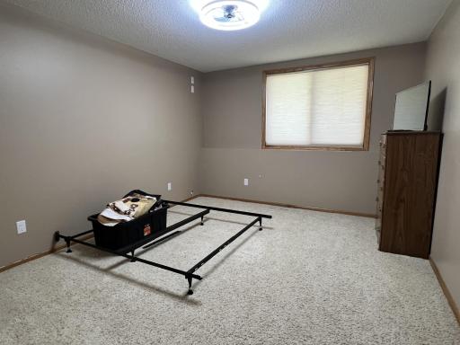 Bedroom #3 - lower level with walk in closet