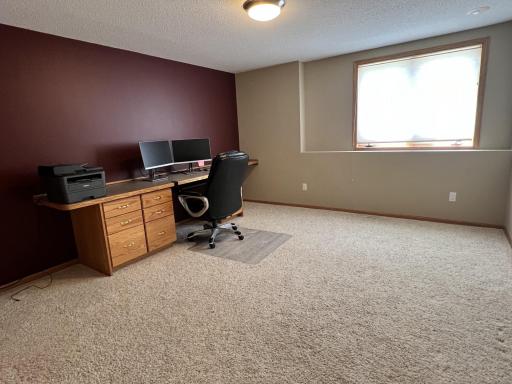 Bedroom #2 - lower level, built-in desk and walk-in closet