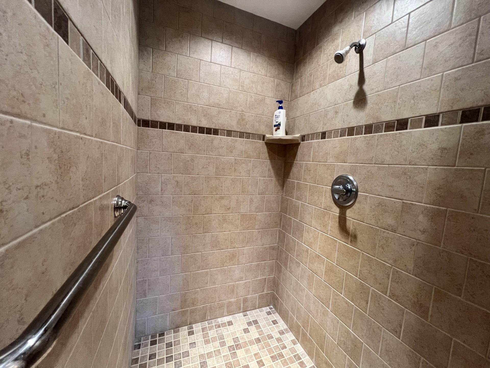 Master bath - tiled shower