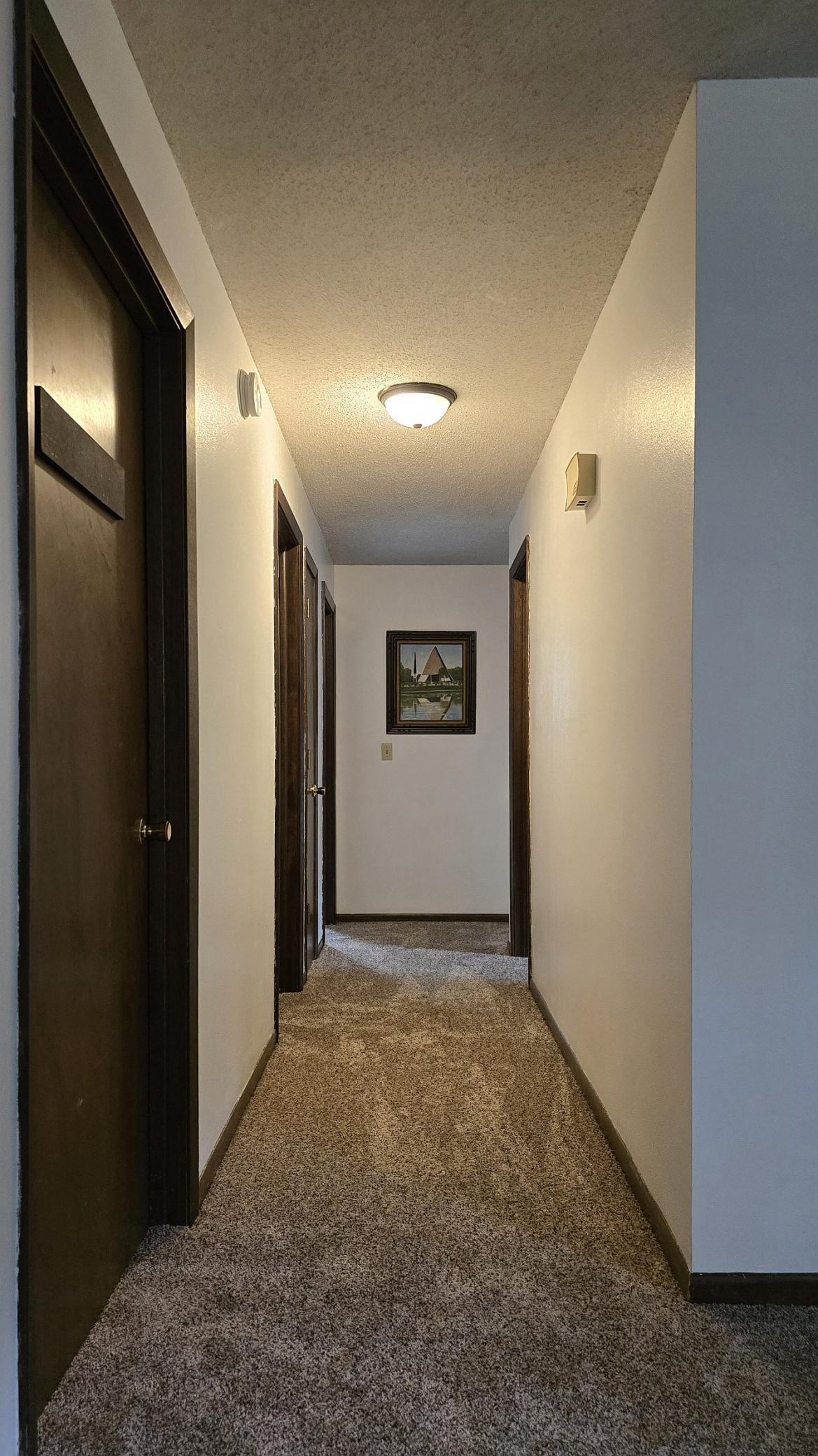 lower hallway.jpg