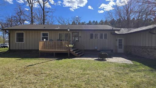 back yard1.jpg