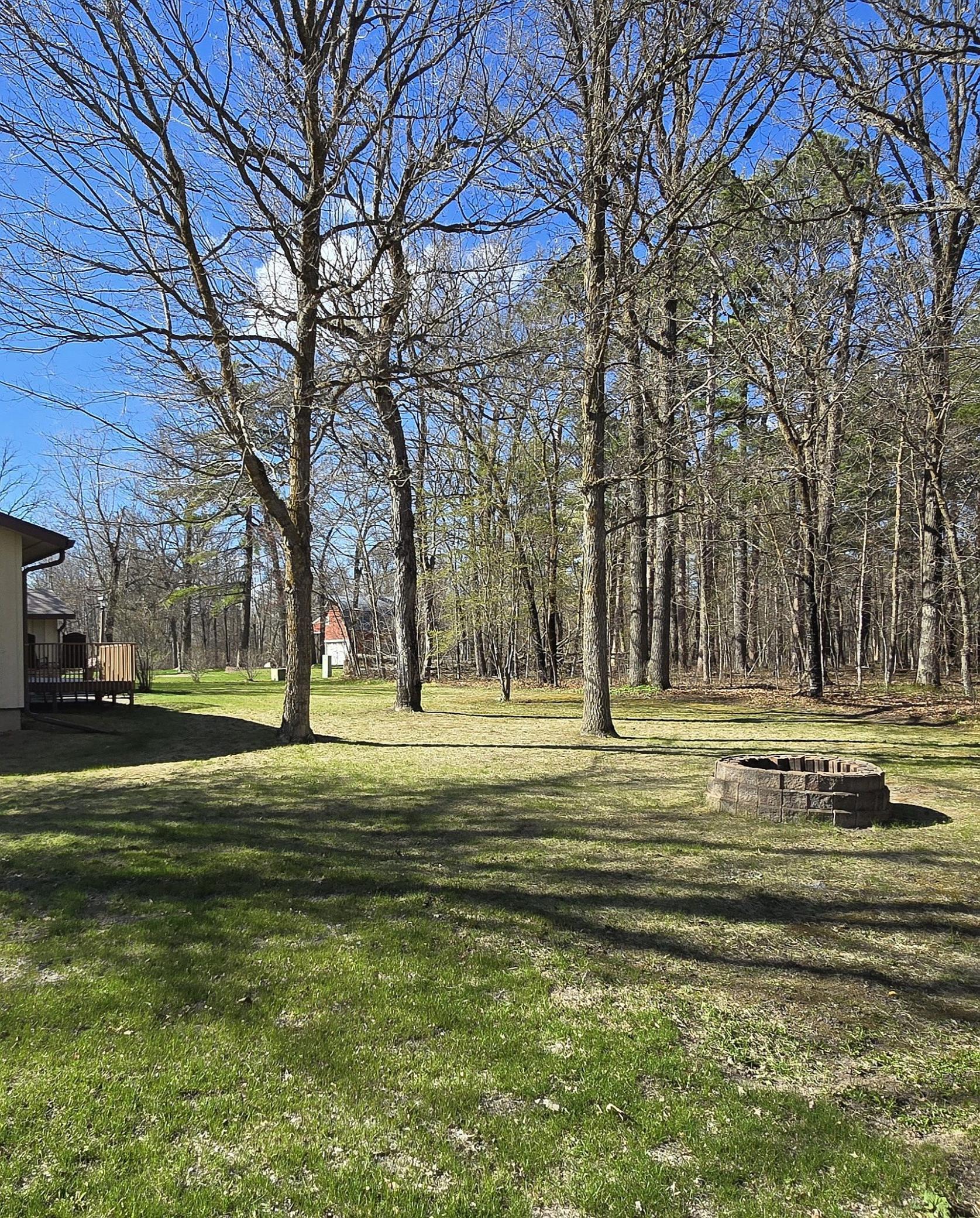 back yard.jpg