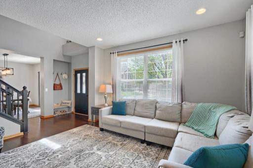 890 Braunworth Court, Chaska, MN 55318