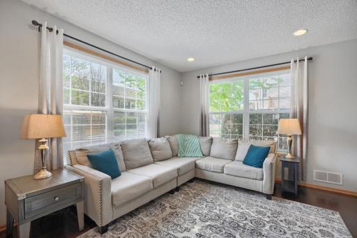 890 Braunworth Court, Chaska, MN 55318