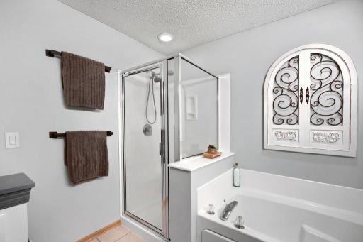 890 Braunworth Court, Chaska, MN 55318