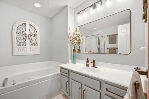890 Braunworth Court, Chaska, MN 55318