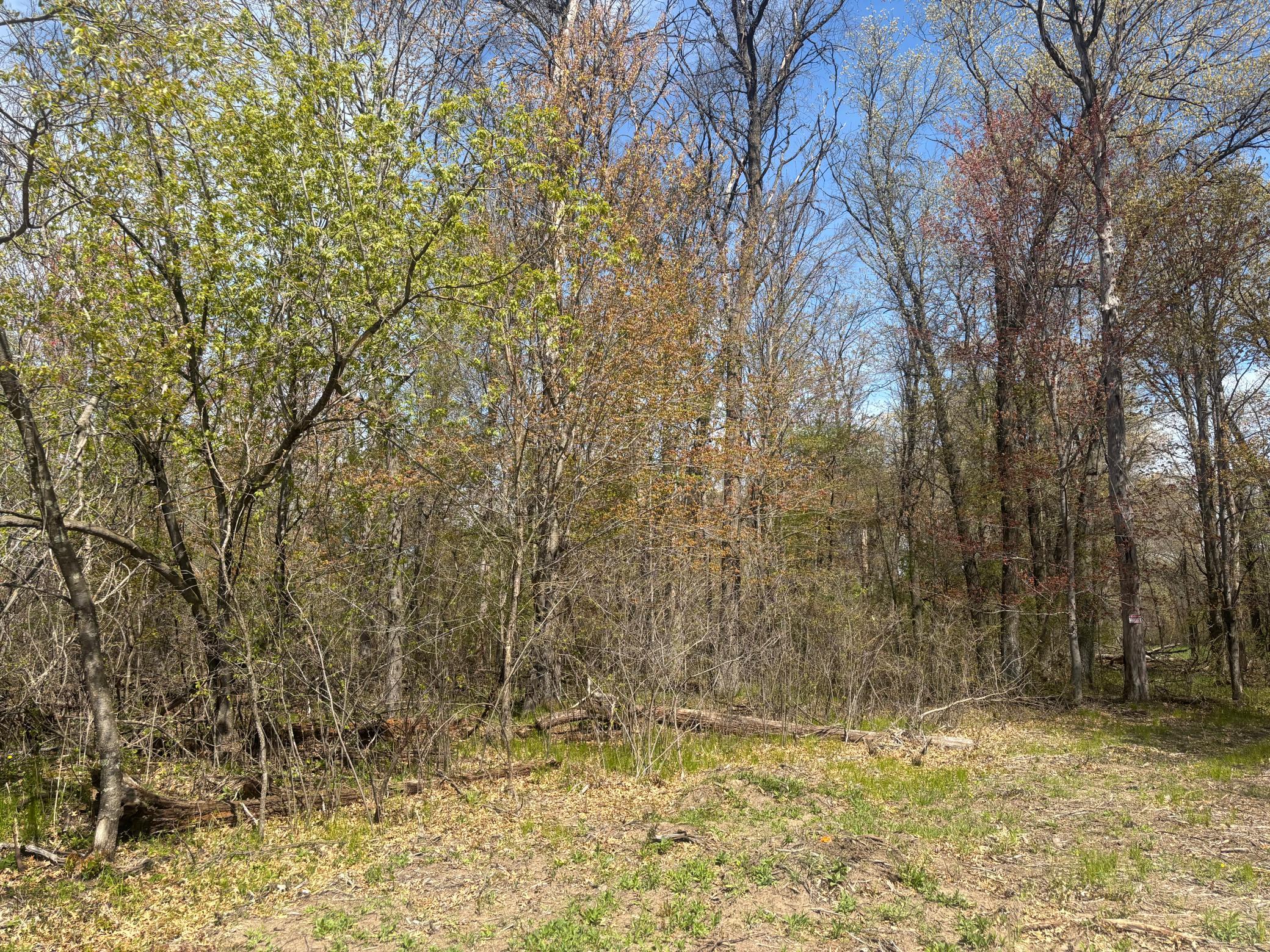 IMG_3200.jpeg