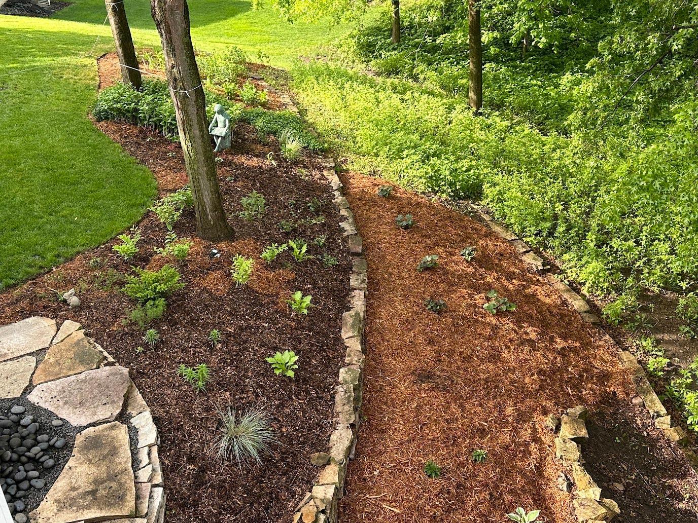 2206 Grant Ct Backyard3.jpg