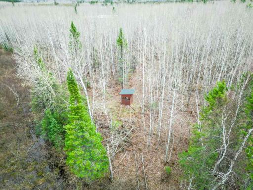 11212 Pozar Road, Chisholm, MN 55719