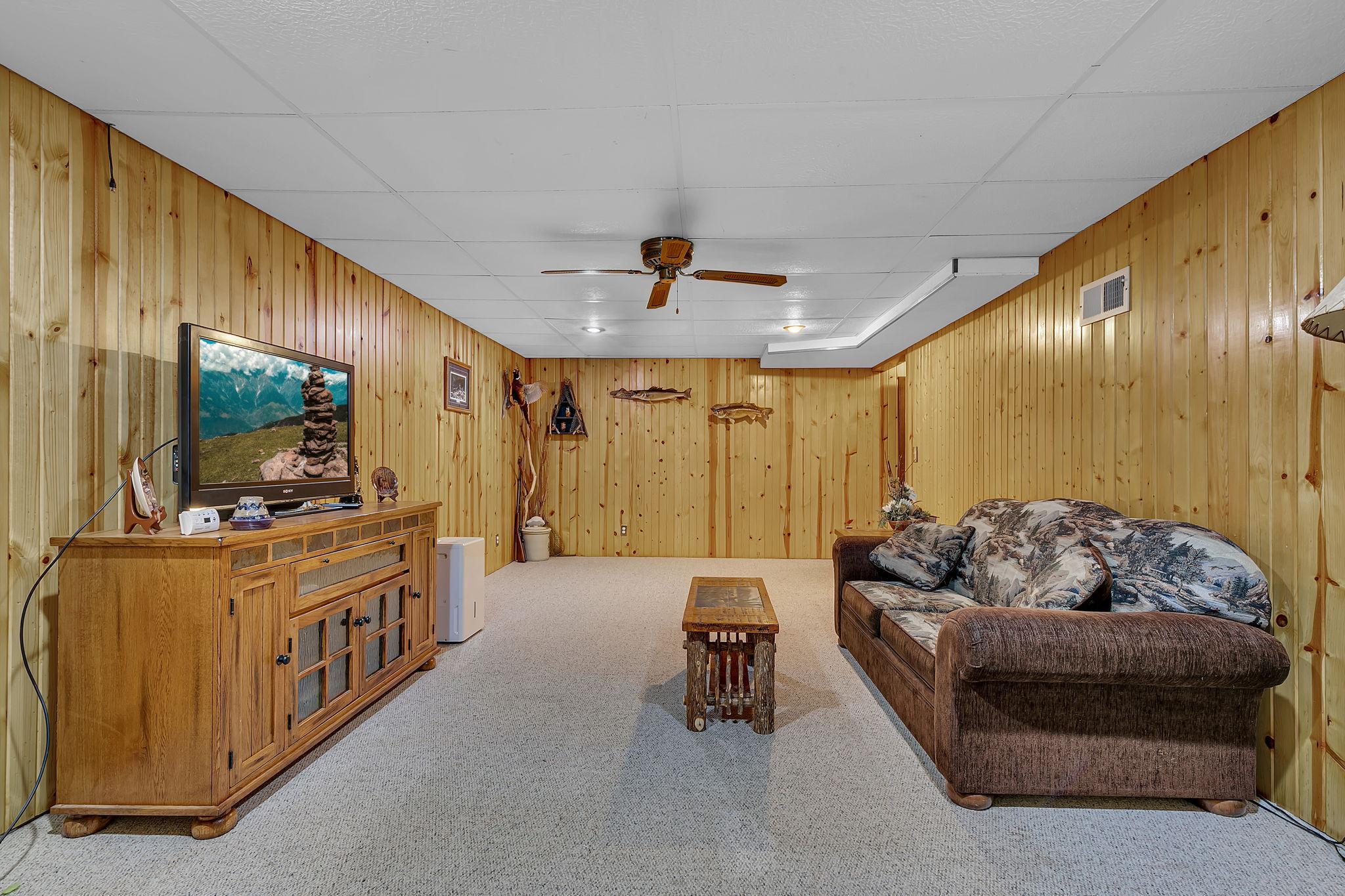Lower level family room