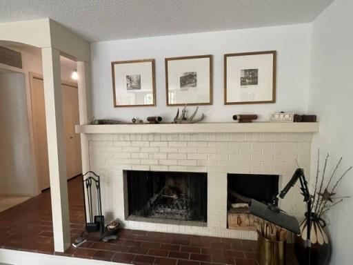 6075 Lincoln Drive #203, Edina, MN 55436 wood burning fireplace in living room
