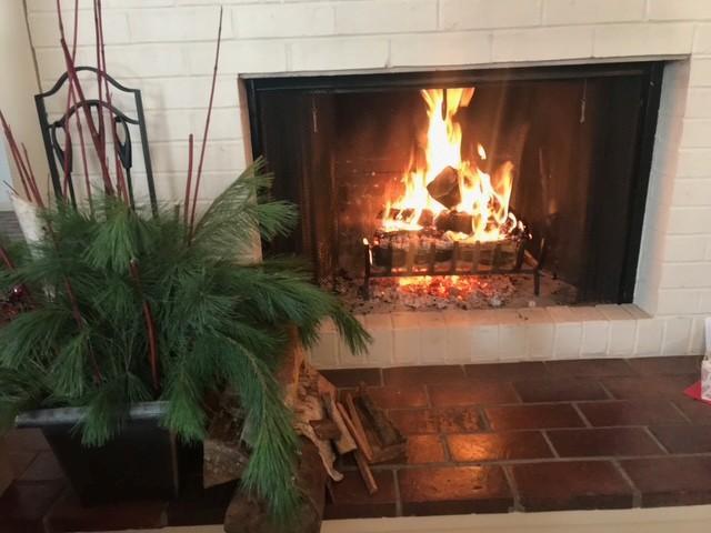 6075 Lincoln Drive #203, Edina, MN 55436 wood burning fireplace
