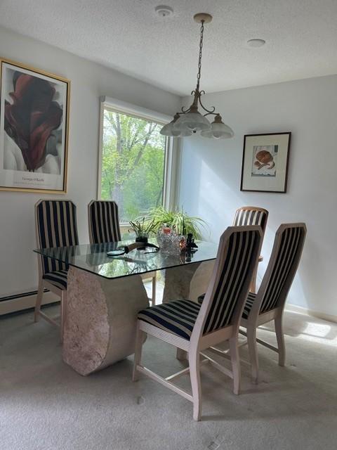 6075 Lincoln Drive #203, Edina, MN 55436 Dining room with beautiful views