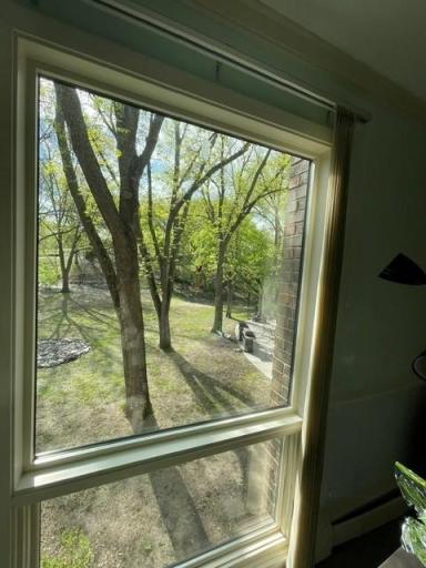 6075 Lincoln Drive #203, Edina, MN 55436 beautiful view of trees to enjoy