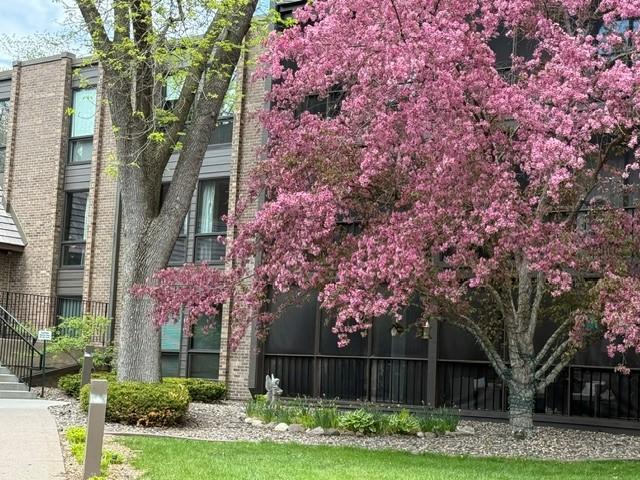 6075 Lincoln Drive #203, Edina front exterior beautiful ground, MN 55436