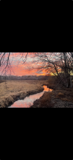 6075 Lincoln Drive #203, Edina, MN 55436 Nine mile creek 1 mile away sunset.png