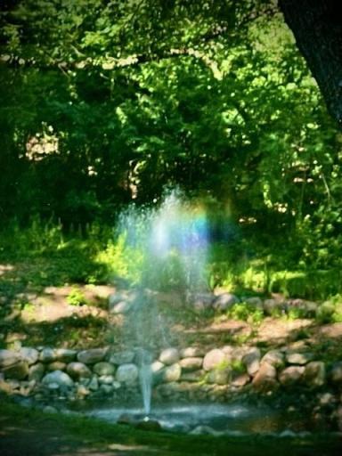 Best view right from your window of the fountain, relaxation, 6075 Lincoln Drive #203, Edina, MN 55436