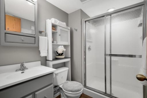 Second bathroom downstairs. Updated just like the one upstairs. There is nothing you need to do when you buy this house than just move right in. No projects here