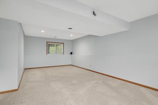 We ar enow downstairs where the seller has installed BRAND new carpet last week throughout the entire lower level. There is room down here for anything you need this space to be. Use your imagination. The LL also features 2 more BR's + another BA